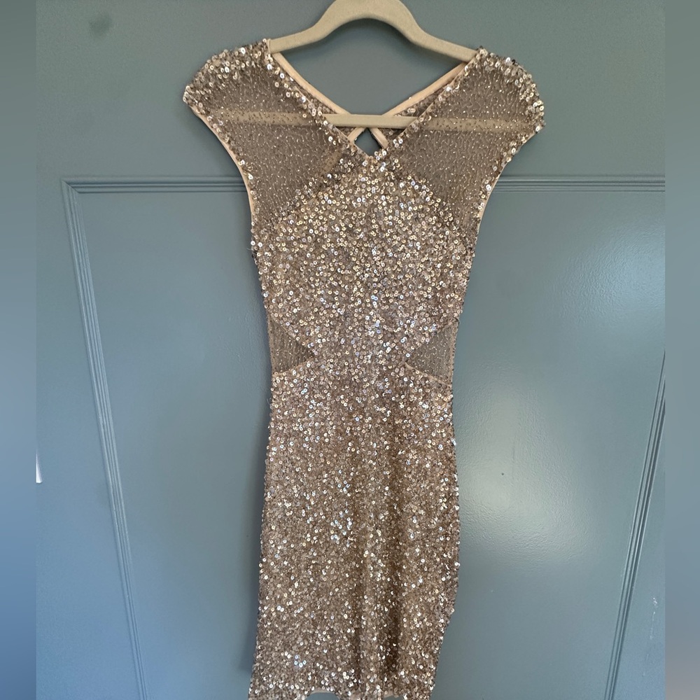 Parker Sequin dress -purchased from Revolve
